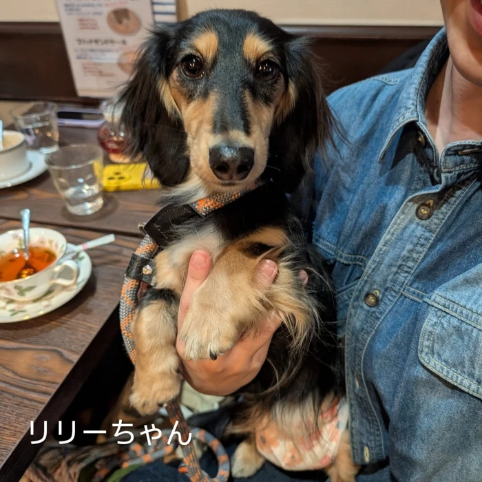 画像307