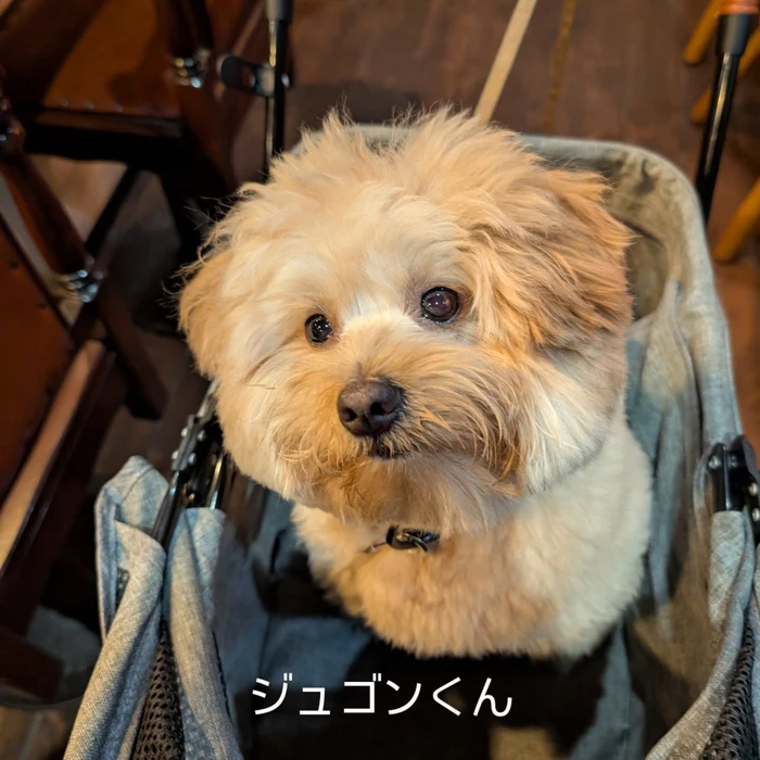 画像328