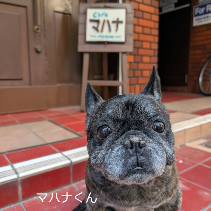 画像332