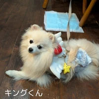 画像345