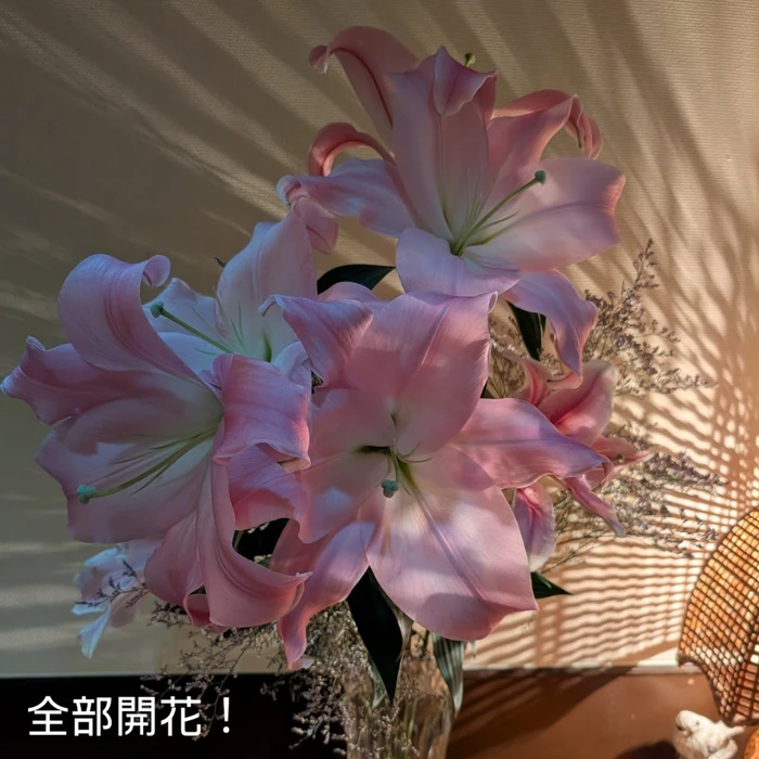 画像350
