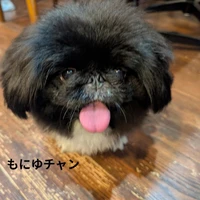 画像352