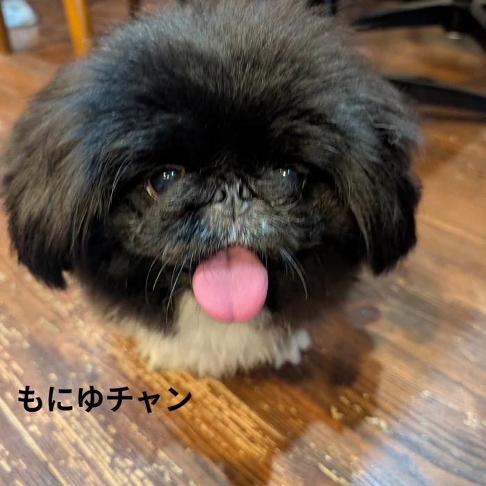 画像352