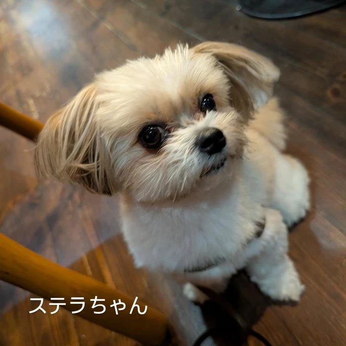 画像376