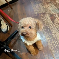画像380
