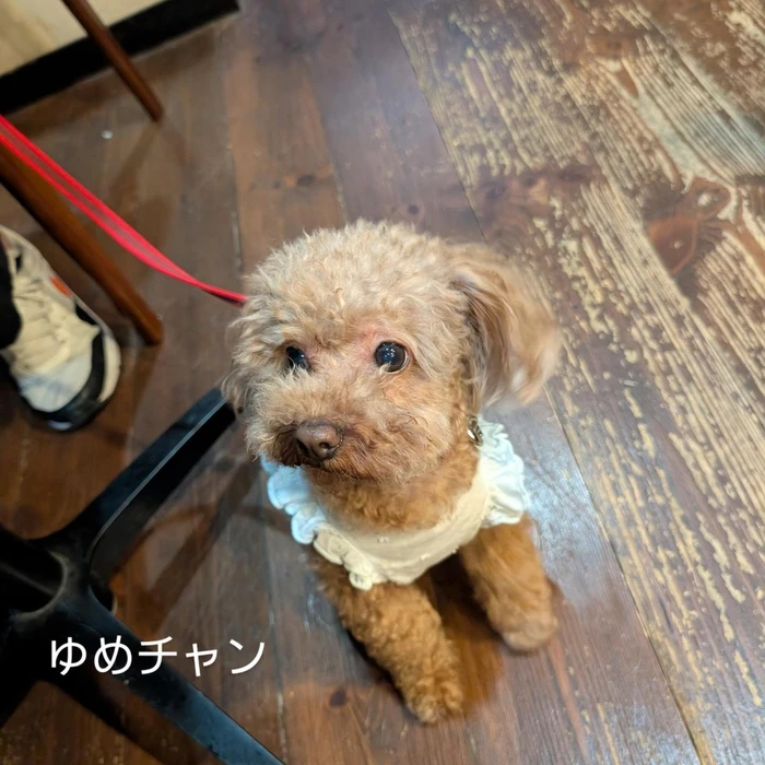 画像380