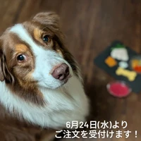画像389