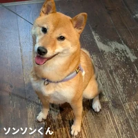 画像401