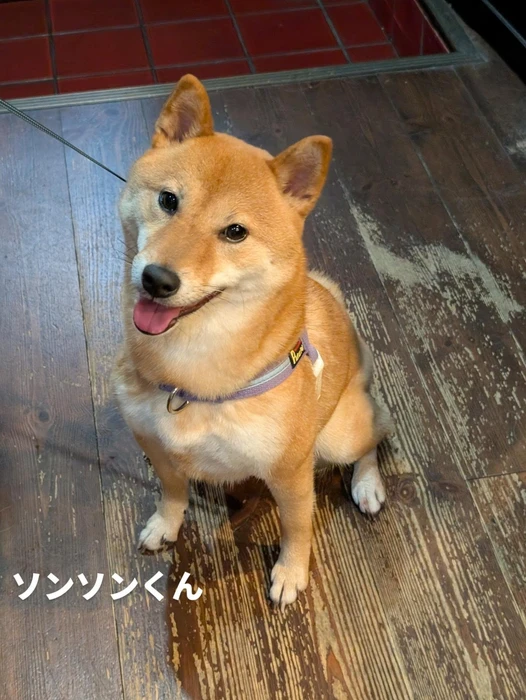 画像401