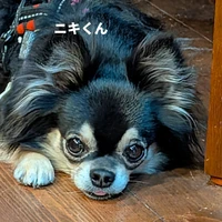 画像405