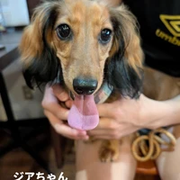 画像420