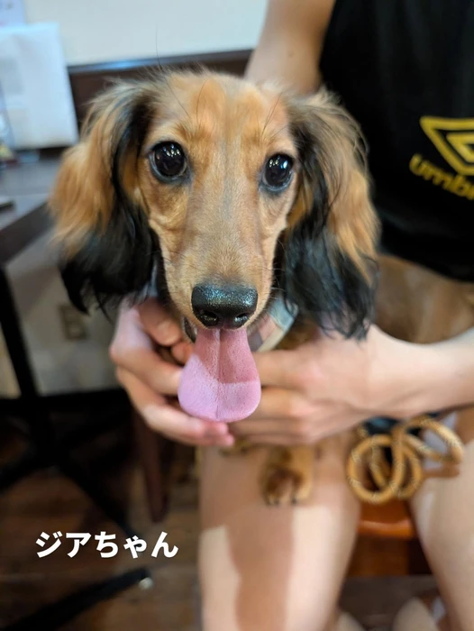 画像420