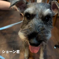 画像423