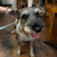 画像426