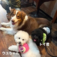 画像430