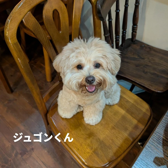 画像436