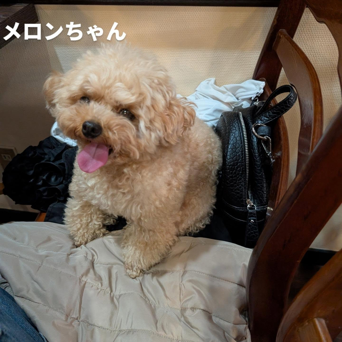 画像438