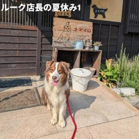 画像445