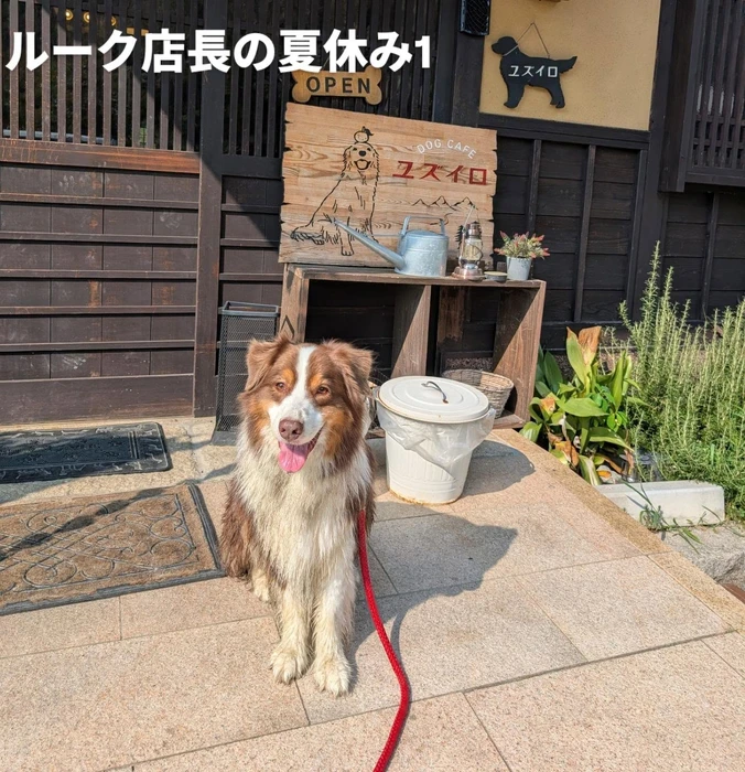 画像445