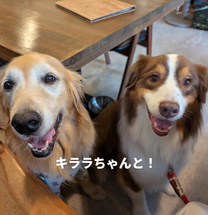 画像446