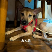 画像456