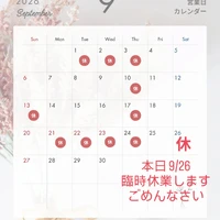 画像481