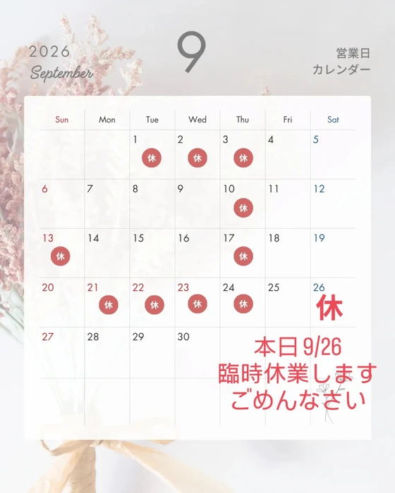 画像481